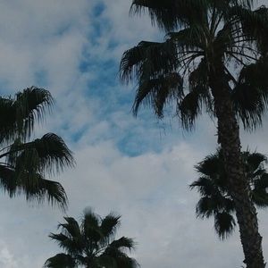 Meet your Posher, Chandler